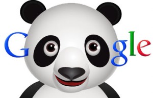 Google Panda, la lucha contra el spam